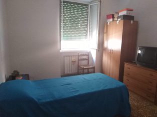 Affitto stanza singola – affitto stanza roma