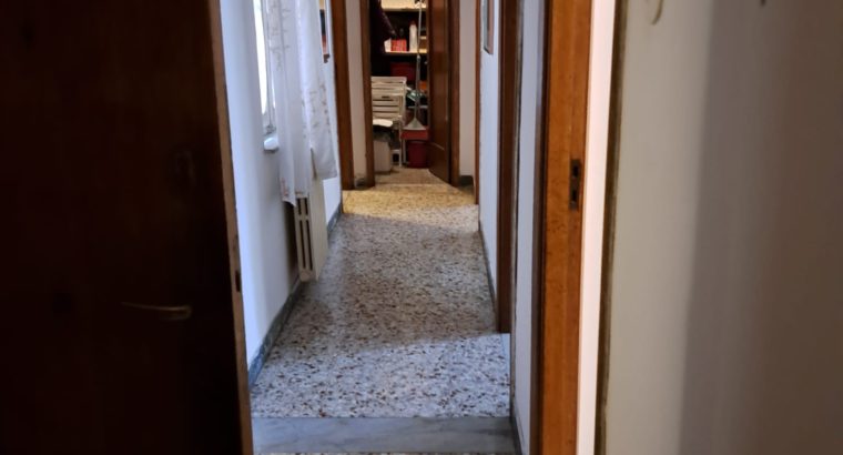 Affitto camera singola Pisa, via Trento n. 32